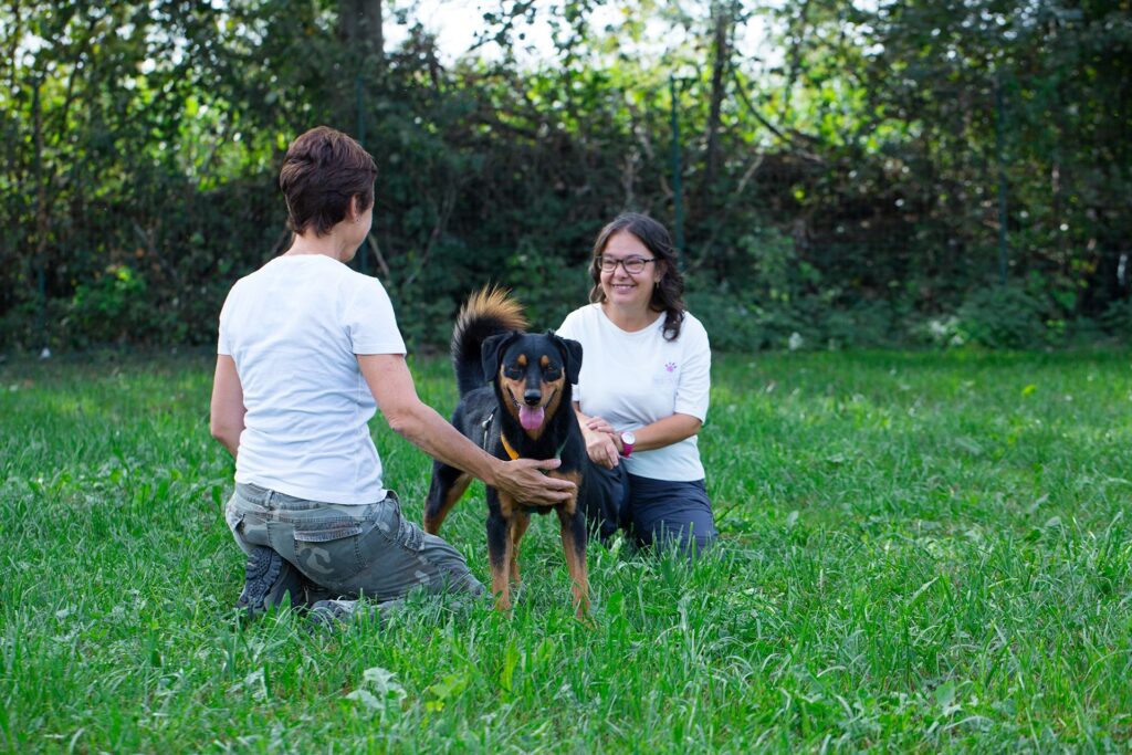 il cane non obbedisce ecco dove sbagli