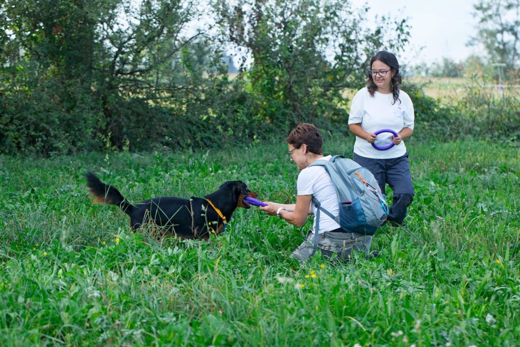 il cane non obbedisce ecco dove sbagli 