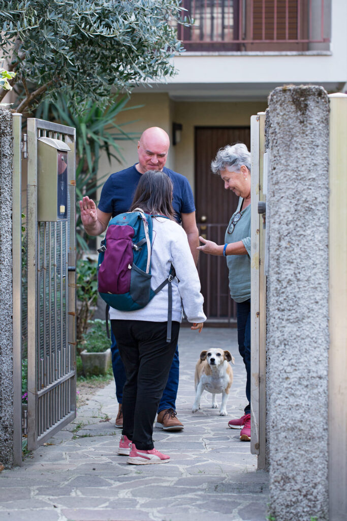 si può educare un cane adulto?