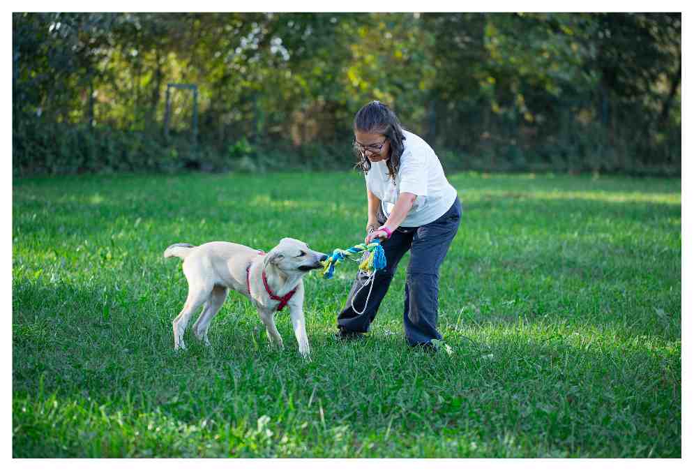 come educare un cucciolo di cane. La foto fa vedere Enrica che propone al cucciolo una corda, il cane la prende ed entrambi la tirano